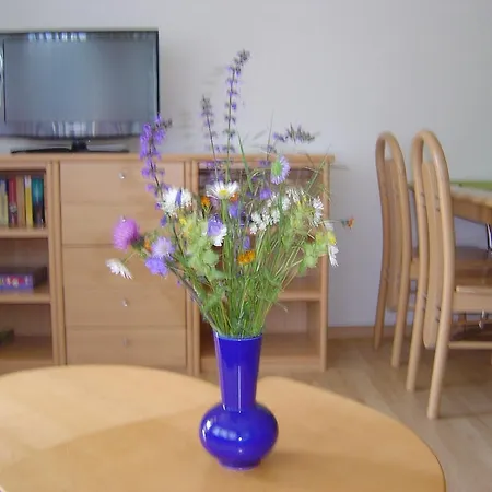 Haus Le Mirage サース フェー